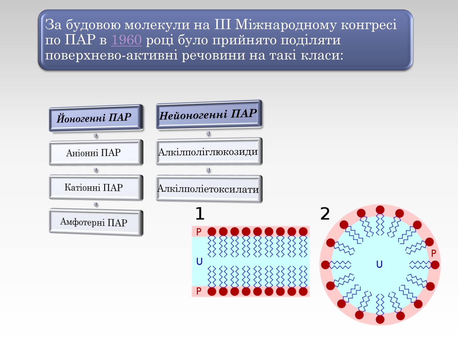 Презентація на тему «Вплив лаурилсульфат натрію на організм людини» - Слайд #12