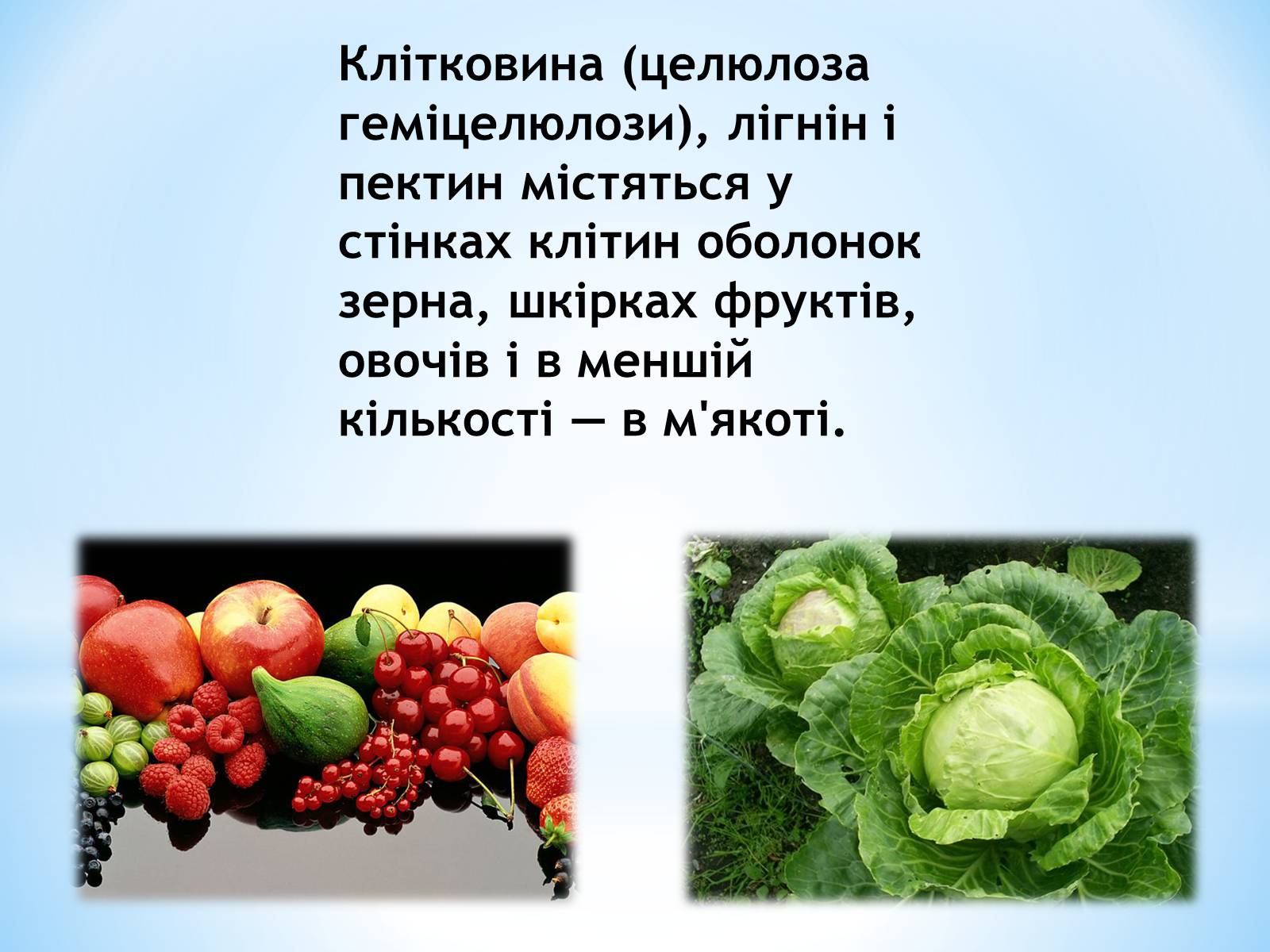 Презентація на тему «Органічні сполуки, як компоненти їжі» - Слайд #14