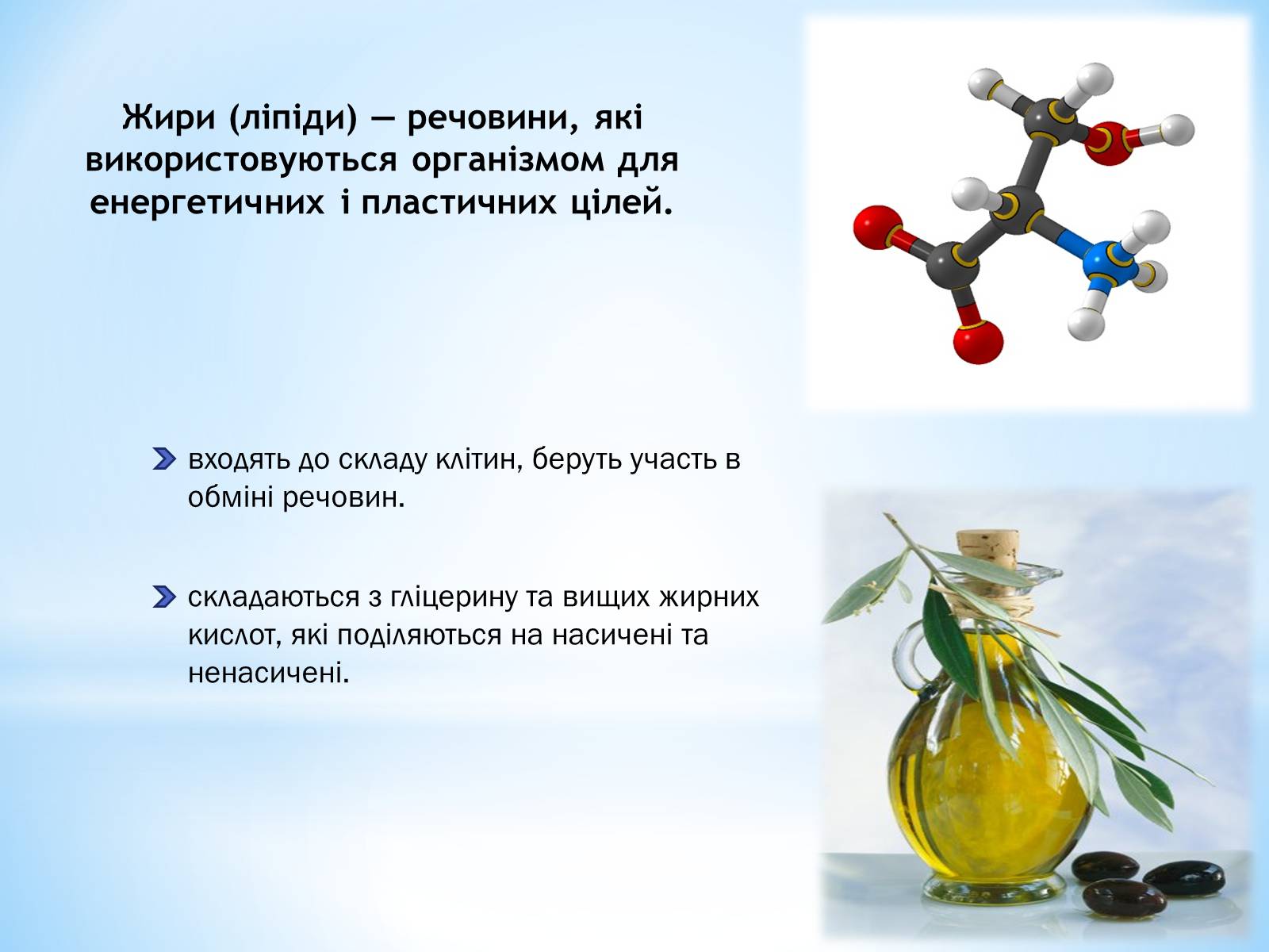 Презентація на тему «Органічні сполуки, як компоненти їжі» - Слайд #3