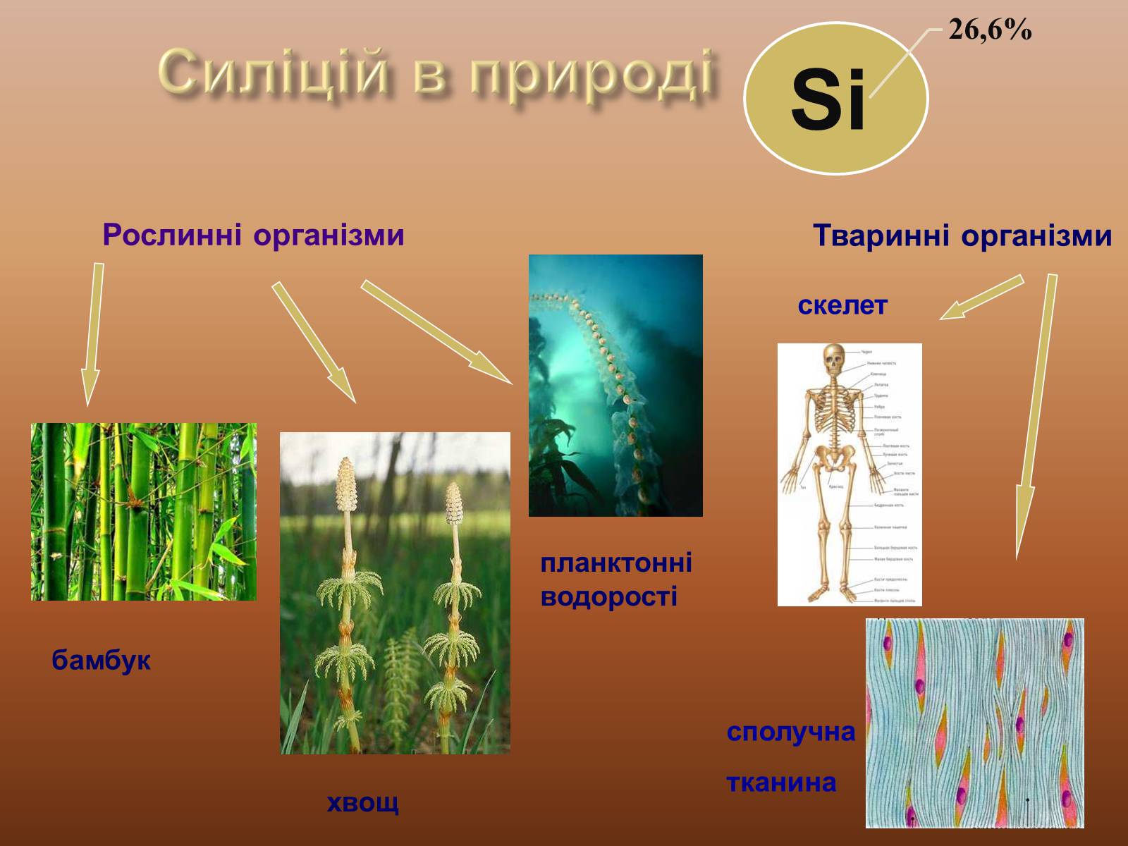 Презентація на тему «Силіцій» (варіант 1) - Слайд #9