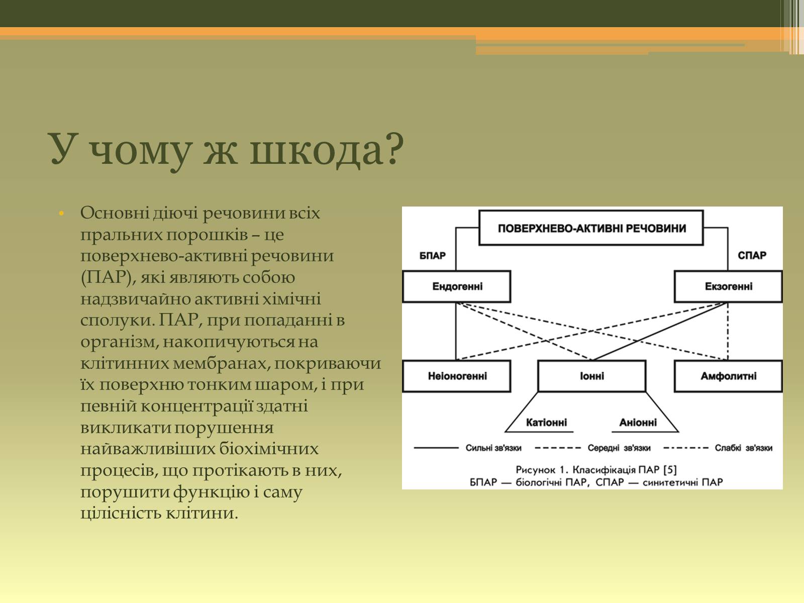 Презентація на тему «Чи шкідливі пральні порошки для здоров&#8217;я» - Слайд #2