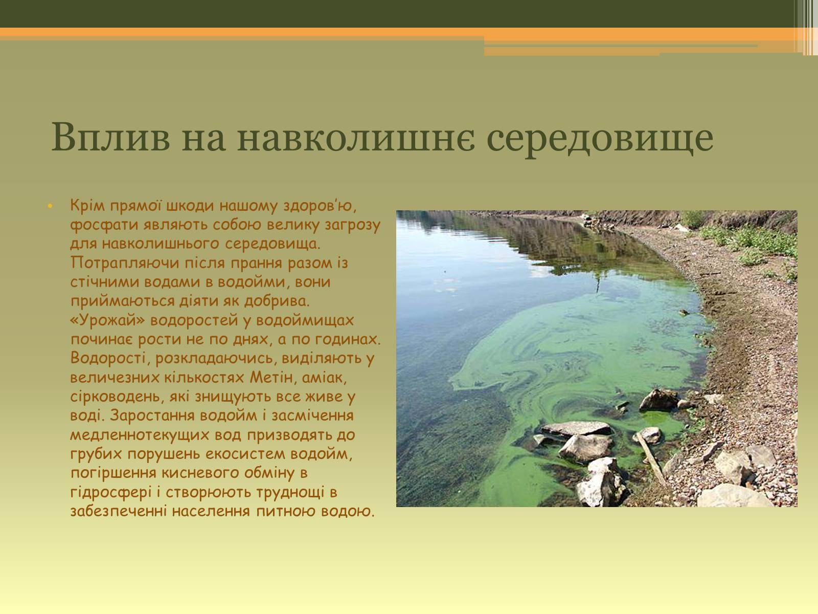 Презентація на тему «Чи шкідливі пральні порошки для здоров&#8217;я» - Слайд #8