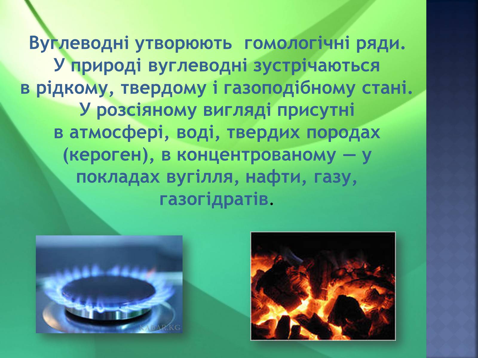 Презентація на тему «Вуглеводи як компоненти їжі, їх роль у житті людини» (варіант 23) - Слайд #4