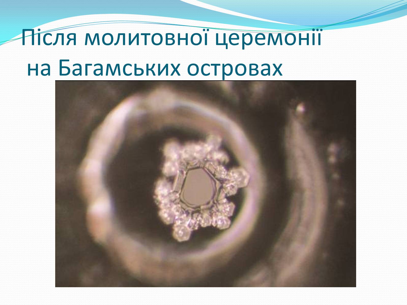 Презентація на тему «Кристали води» - Слайд #48
