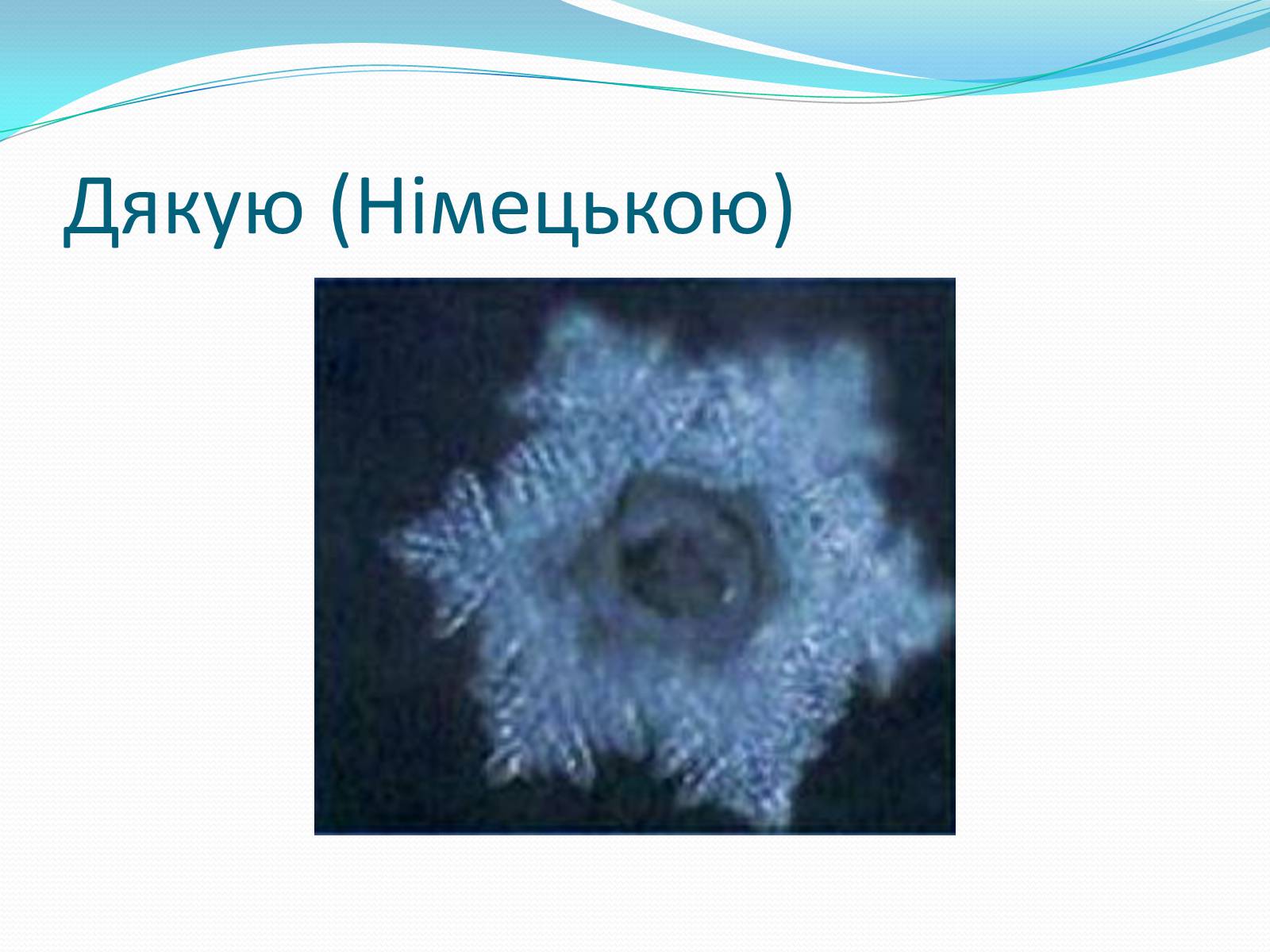 Презентація на тему «Кристали води» - Слайд #60