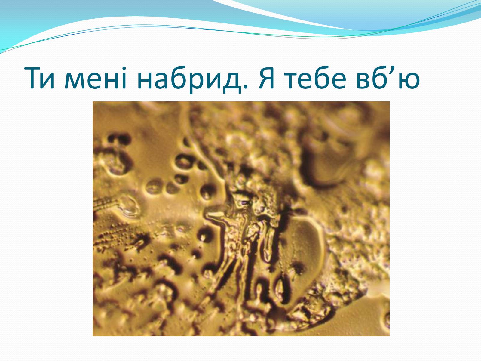 Презентація на тему «Кристали води» - Слайд #67