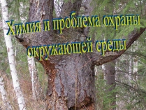 Презентація на тему «Химия и проблема охраны окружающей среды»