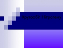 Презентація на тему «Кругообіг Нітрогену» (варіант 2)