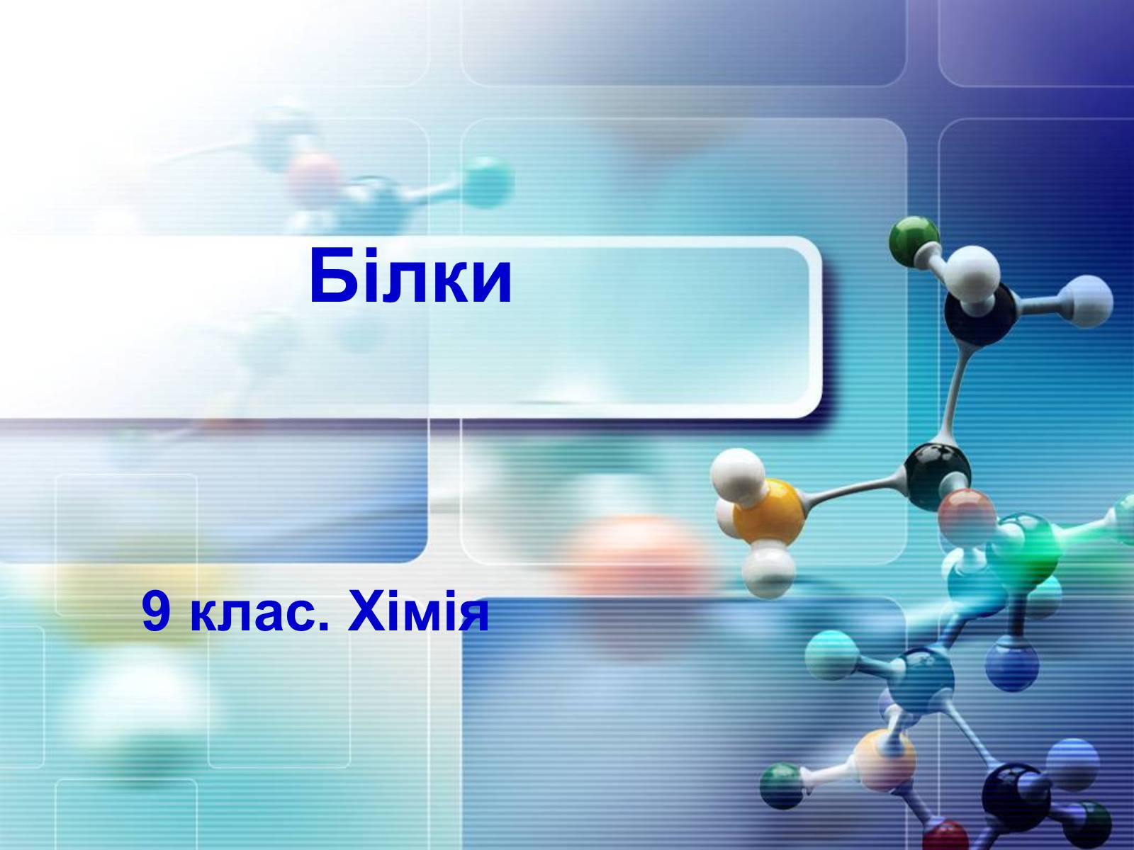 Презентація на тему «Білки» (варіант 4) - Слайд #1