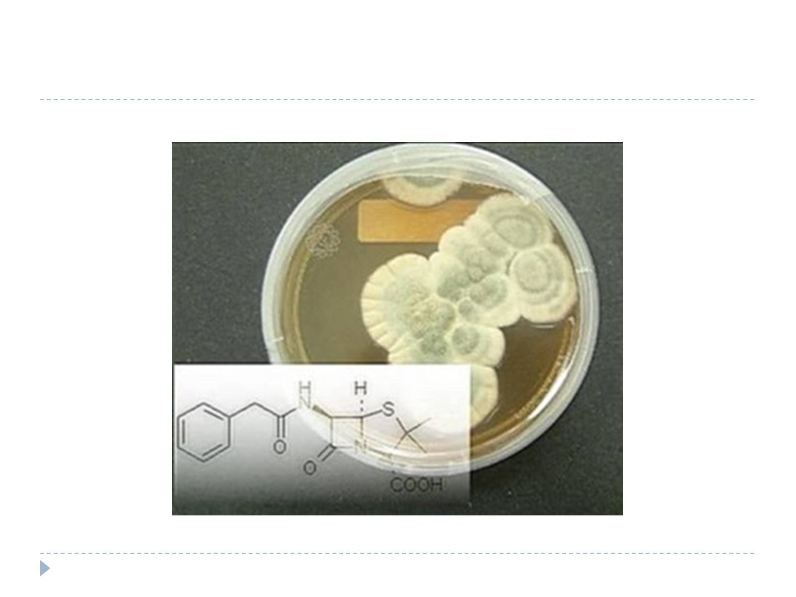 Презентація на тему «Пенициллин» - Слайд #5