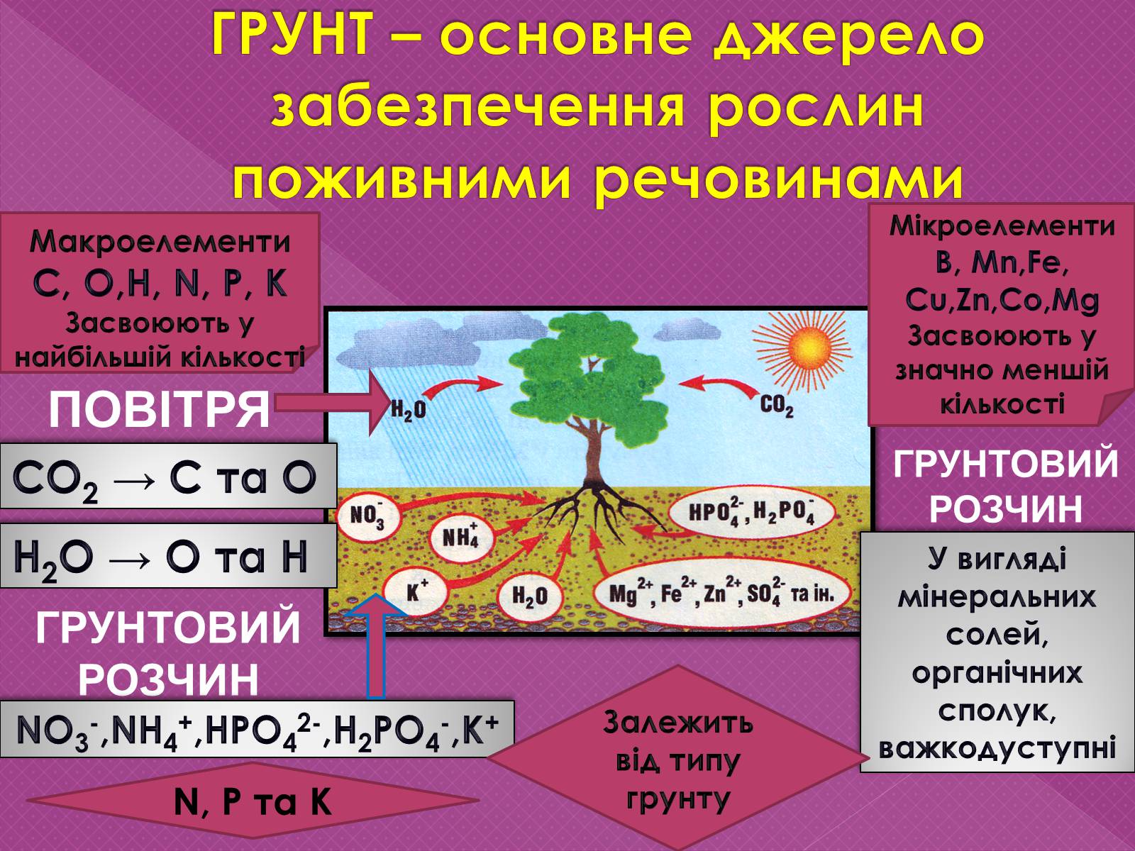 Презентація на тему «Поживні добавки для рослин – ДОБРИВА» - Слайд #3