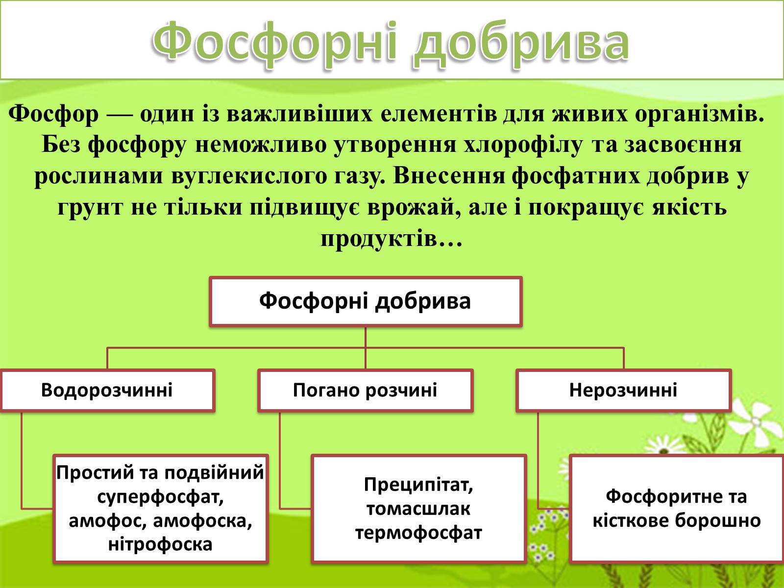 Презентація на тему «Мінеральні добрива» (варіант 9) - Слайд #4