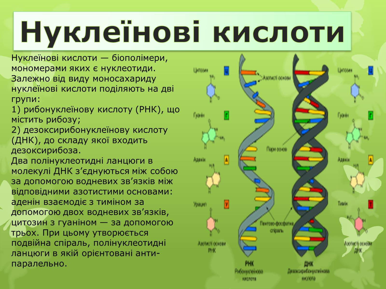 Презентація на тему «Природні І синтетичні Органічні речовини» (варіант 2) - Слайд #4