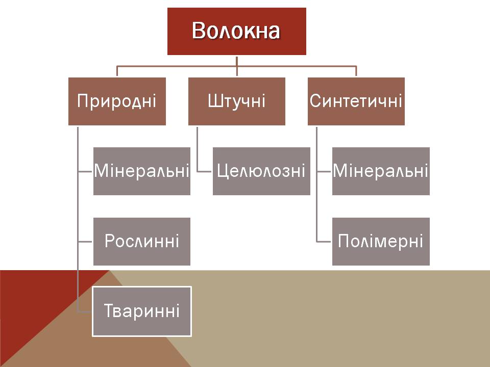 Презентація на тему «Волокна» (варіант 8) - Слайд #2