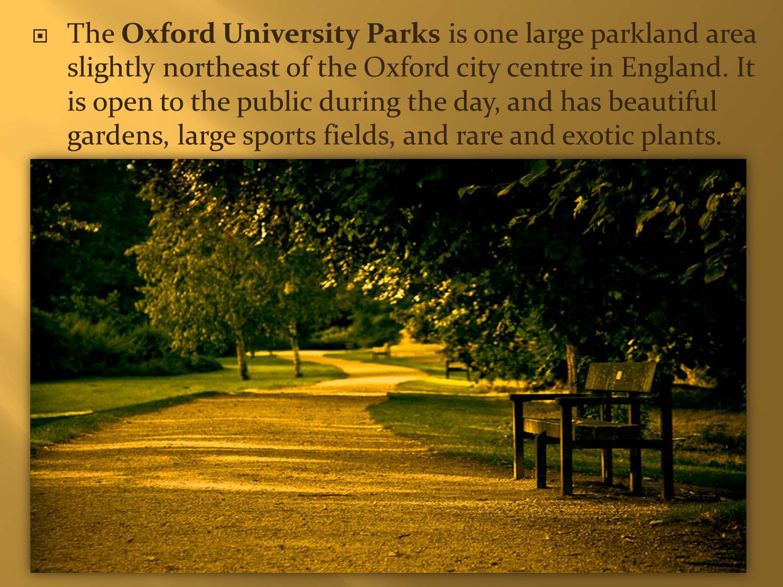 Презентація на тему «Oxford» (варіант 1) - Слайд #12
