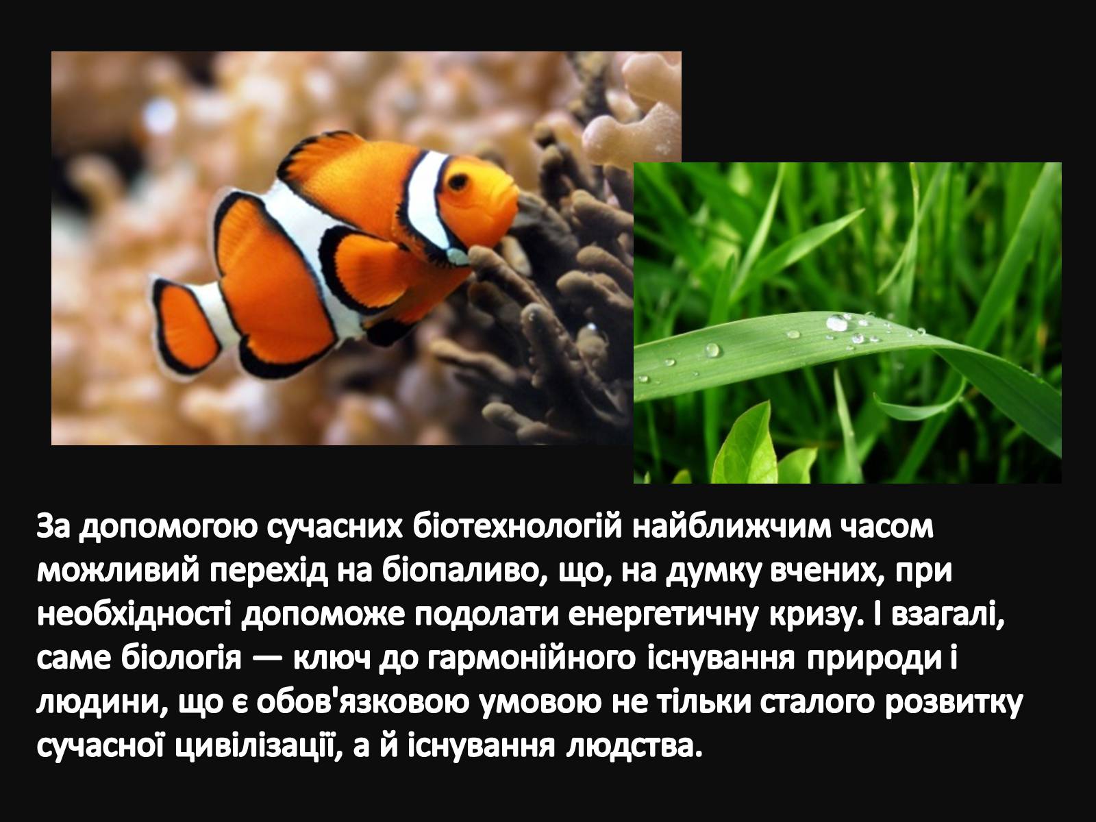 Презентація на тему «Значення біології в житті людини» - Слайд #4