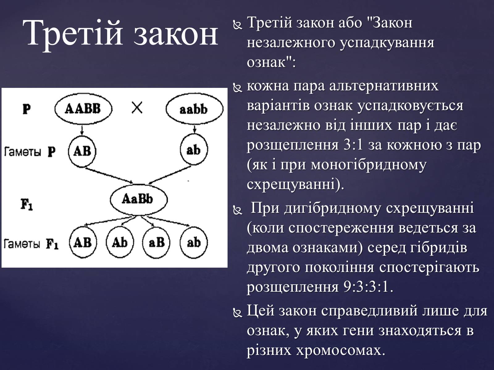 Презентація на тему «Закони Менделя» - Слайд #9