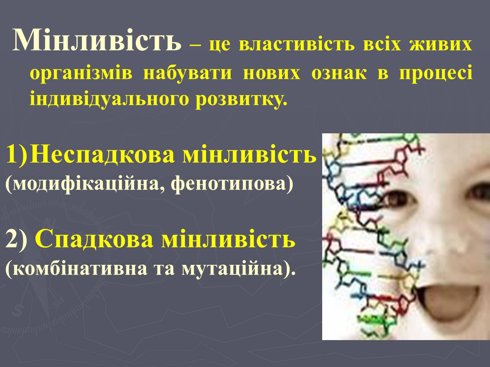 Презентація на тему «Мінливість» (варіант 1) - Слайд #4