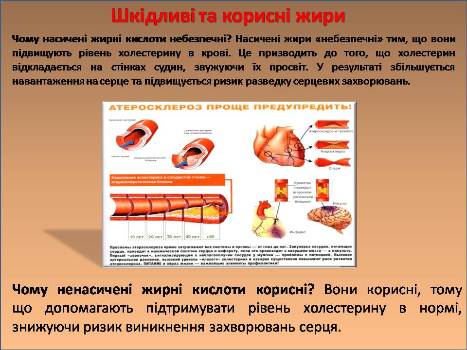 Презентація на тему «Жири, вуглеводи, білки, вітаміни як компоненти їжі» (варіант 2) - Слайд #7