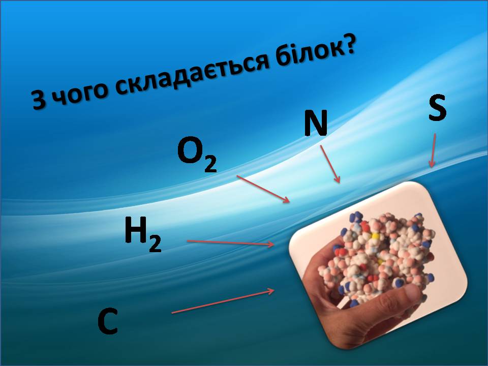 Презентація на тему «Жири, вуглеводи, білки, вітаміни як компоненти їжі» (варіант 2) - Слайд #9