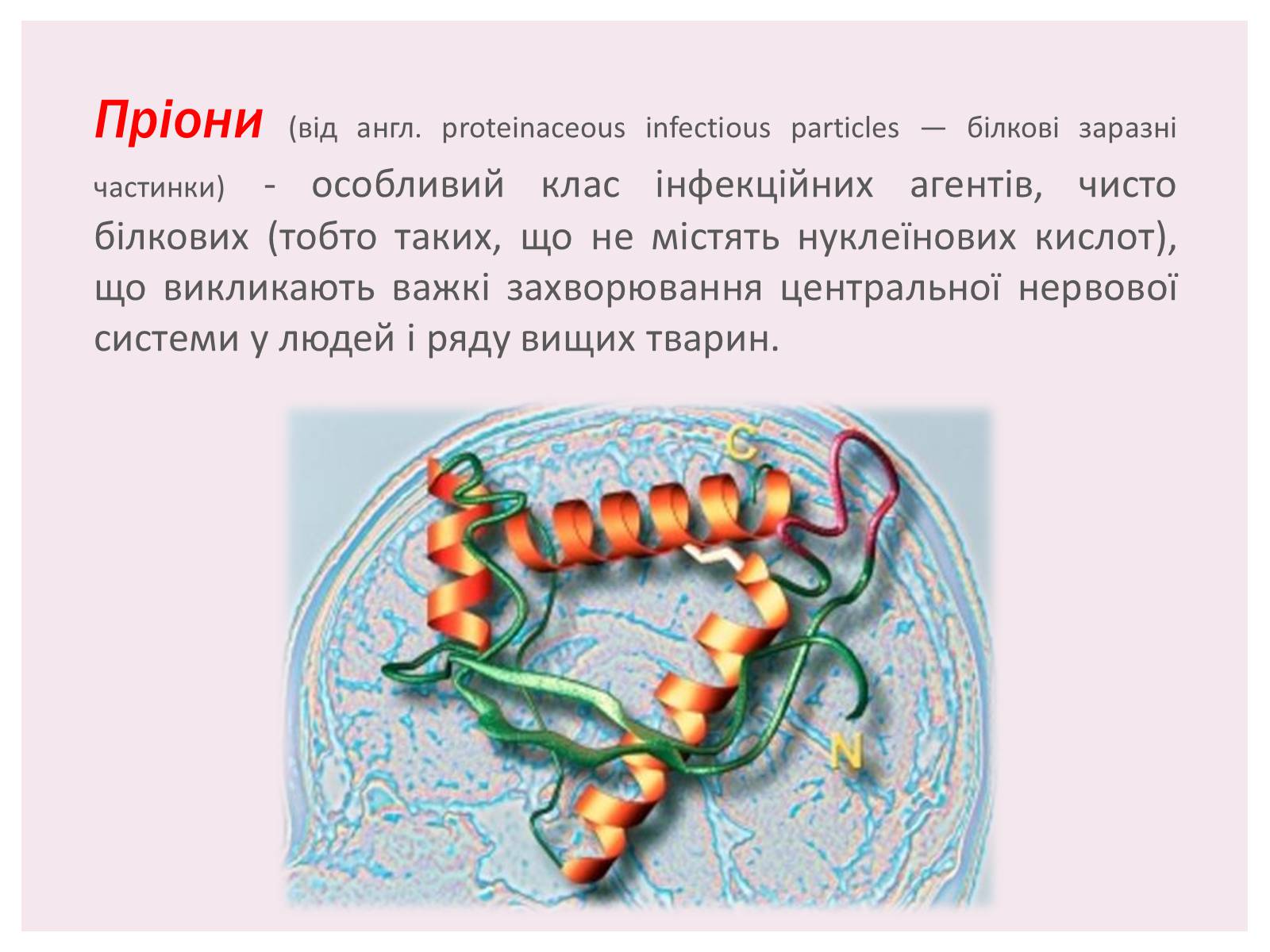 Презентація на тему «Пріони» (варіант 1) - Слайд #2