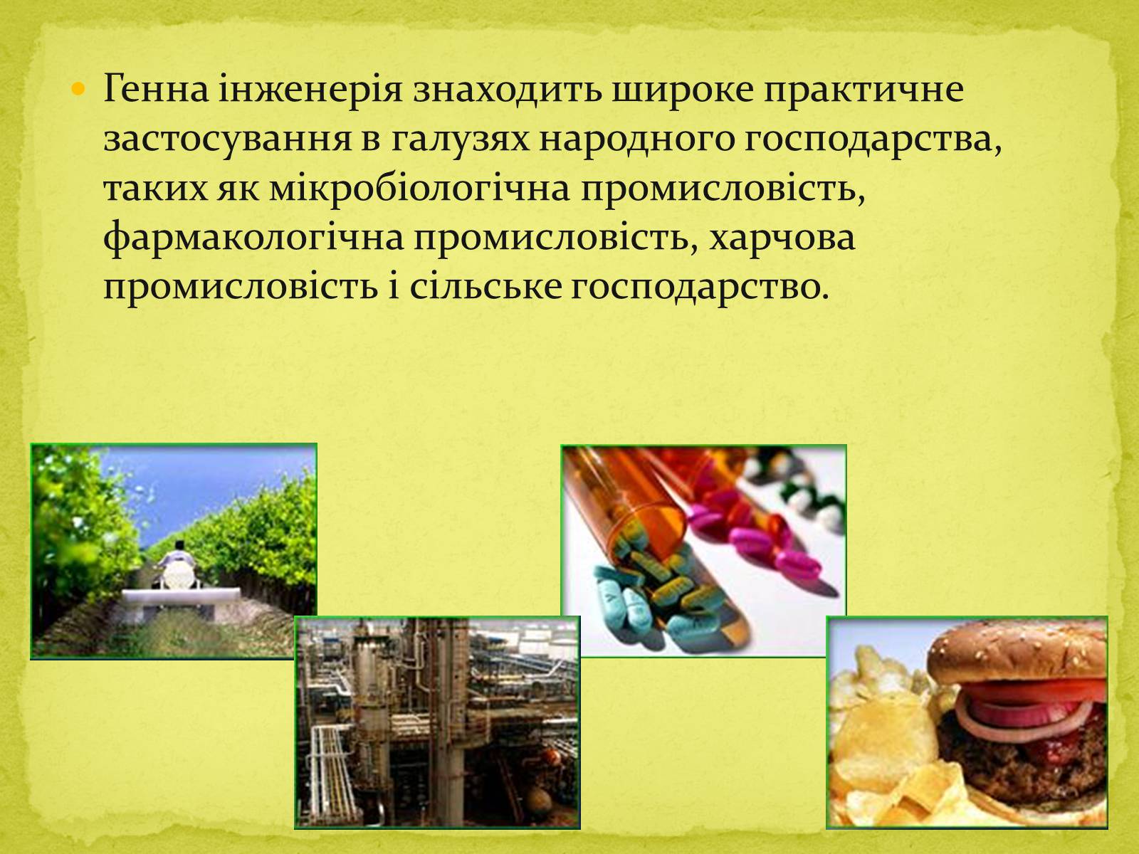 Презентація на тему «Біотехнології, завдання та методи генної та клітинної інженерії, клонування» - Слайд #12