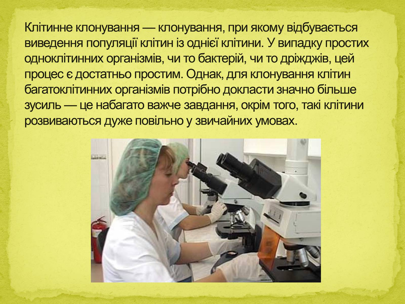 Презентація на тему «Біотехнології, завдання та методи генної та клітинної інженерії, клонування» - Слайд #18