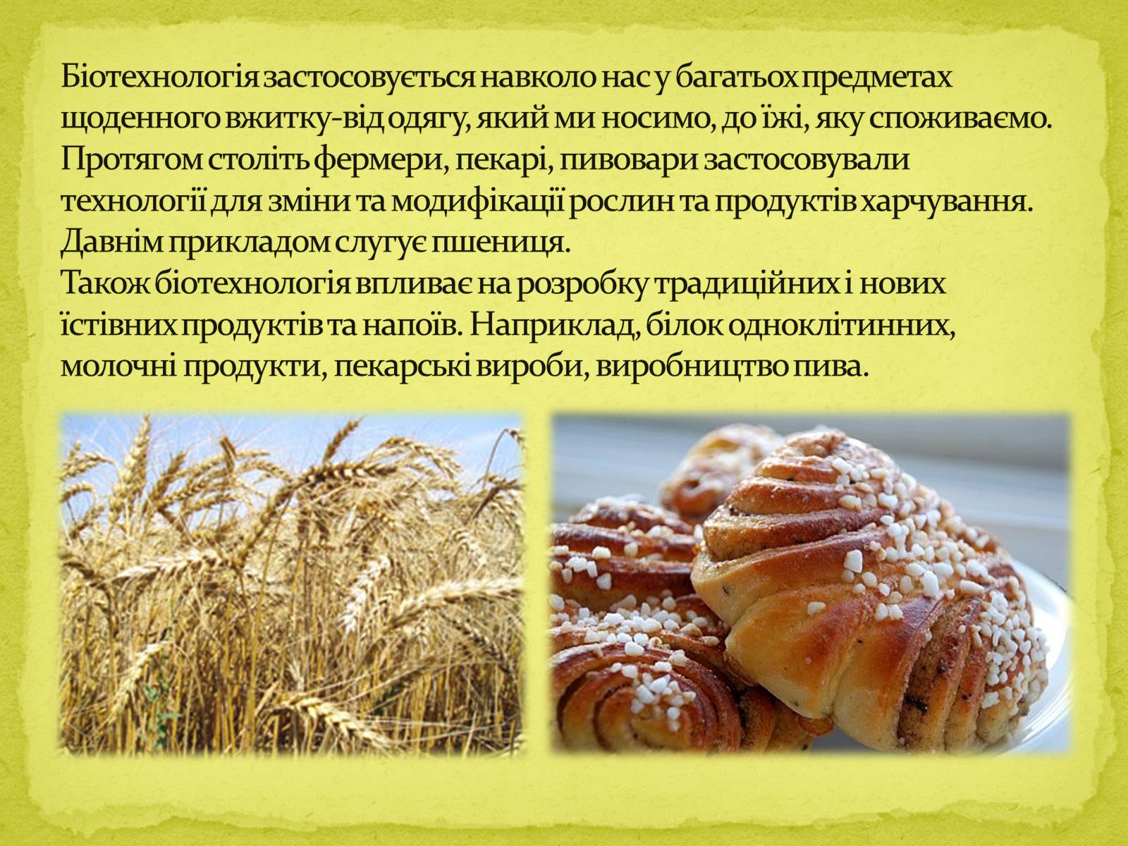 Презентація на тему «Біотехнології, завдання та методи генної та клітинної інженерії, клонування» - Слайд #6