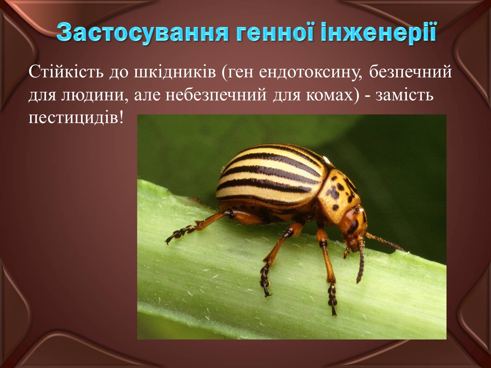 Презентація на тему «Досягнення сучасної біотехнології» - Слайд #7