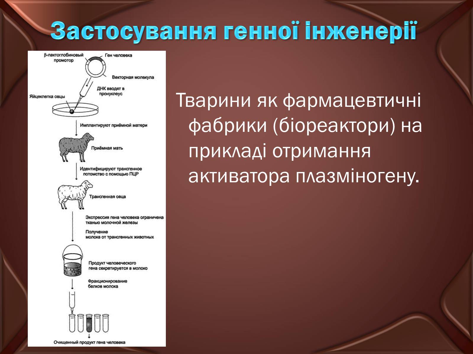 Презентація на тему «Досягнення сучасної біотехнології» - Слайд #9