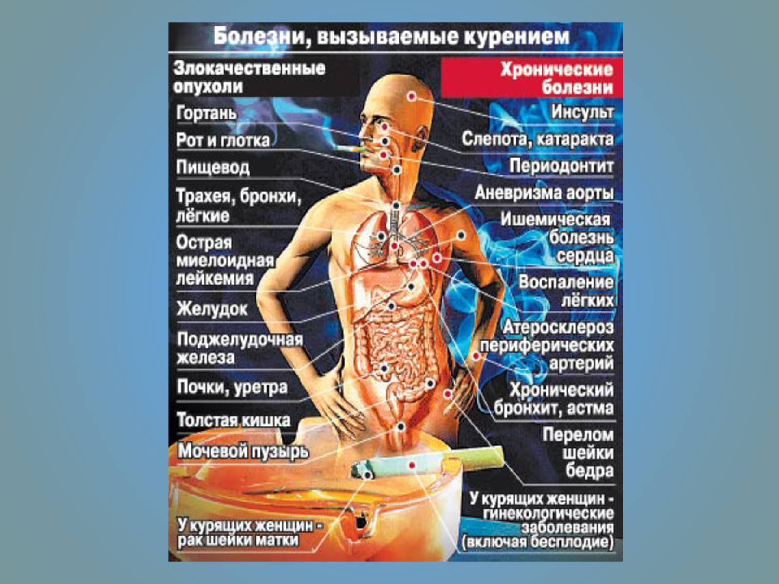 Презентація на тему «Воздействие вредных веществ на организм человека» - Слайд #50