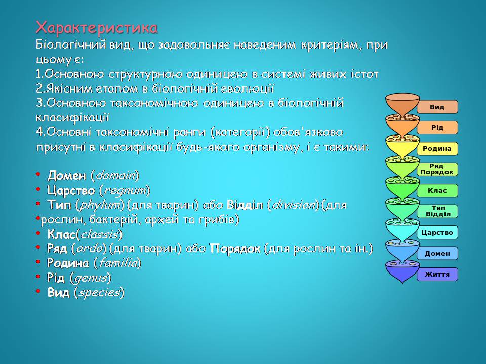 Презентація на тему «Видоутворення та види» - Слайд #14