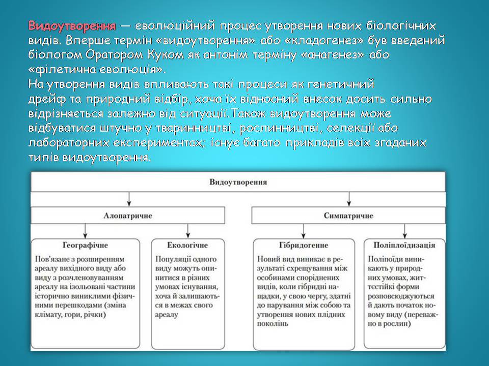 Презентація на тему «Видоутворення та види» - Слайд #2