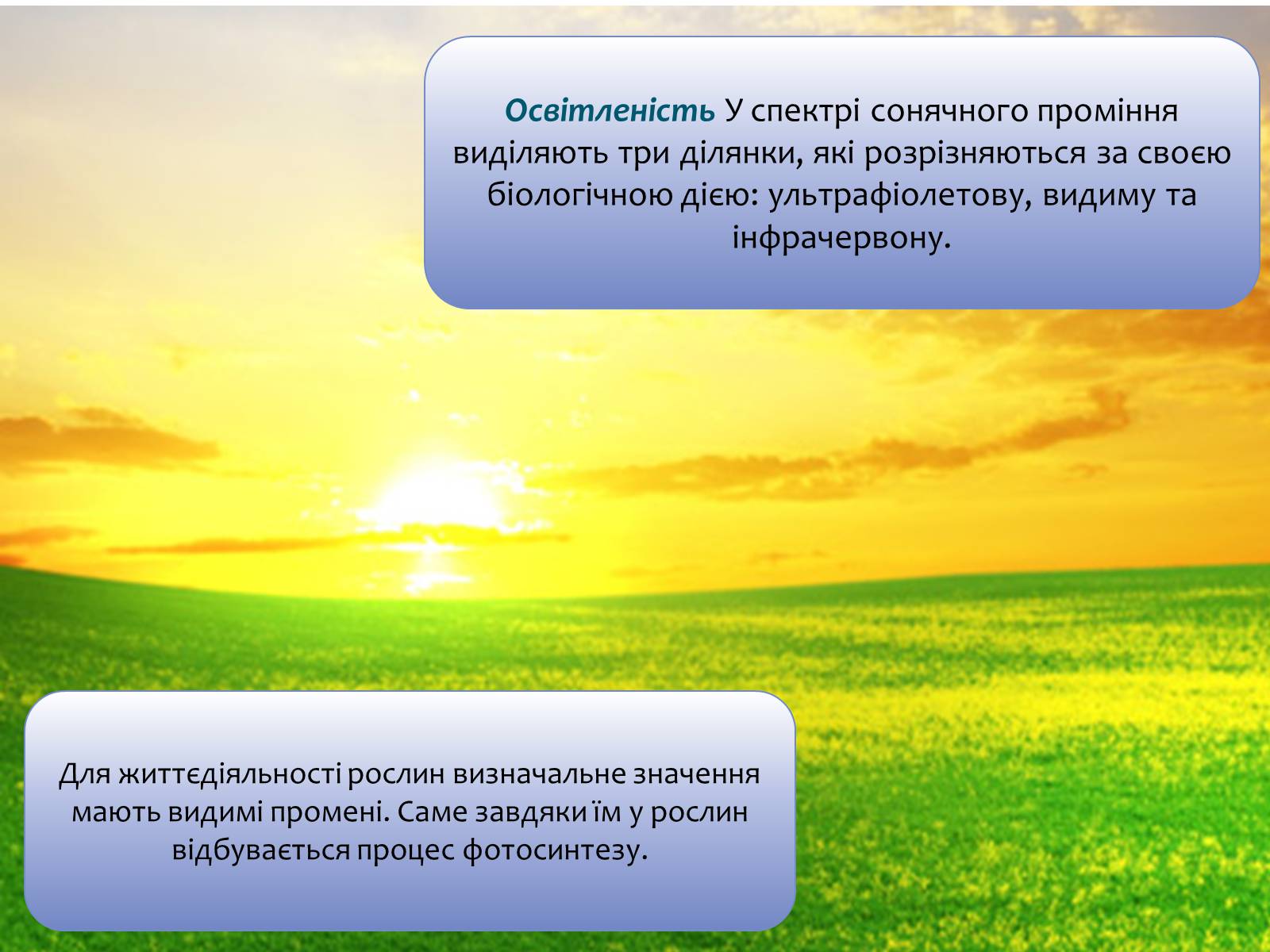 Презентація на тему «Наземно-повітряне середовище існування» (варіант 4) - Слайд #15