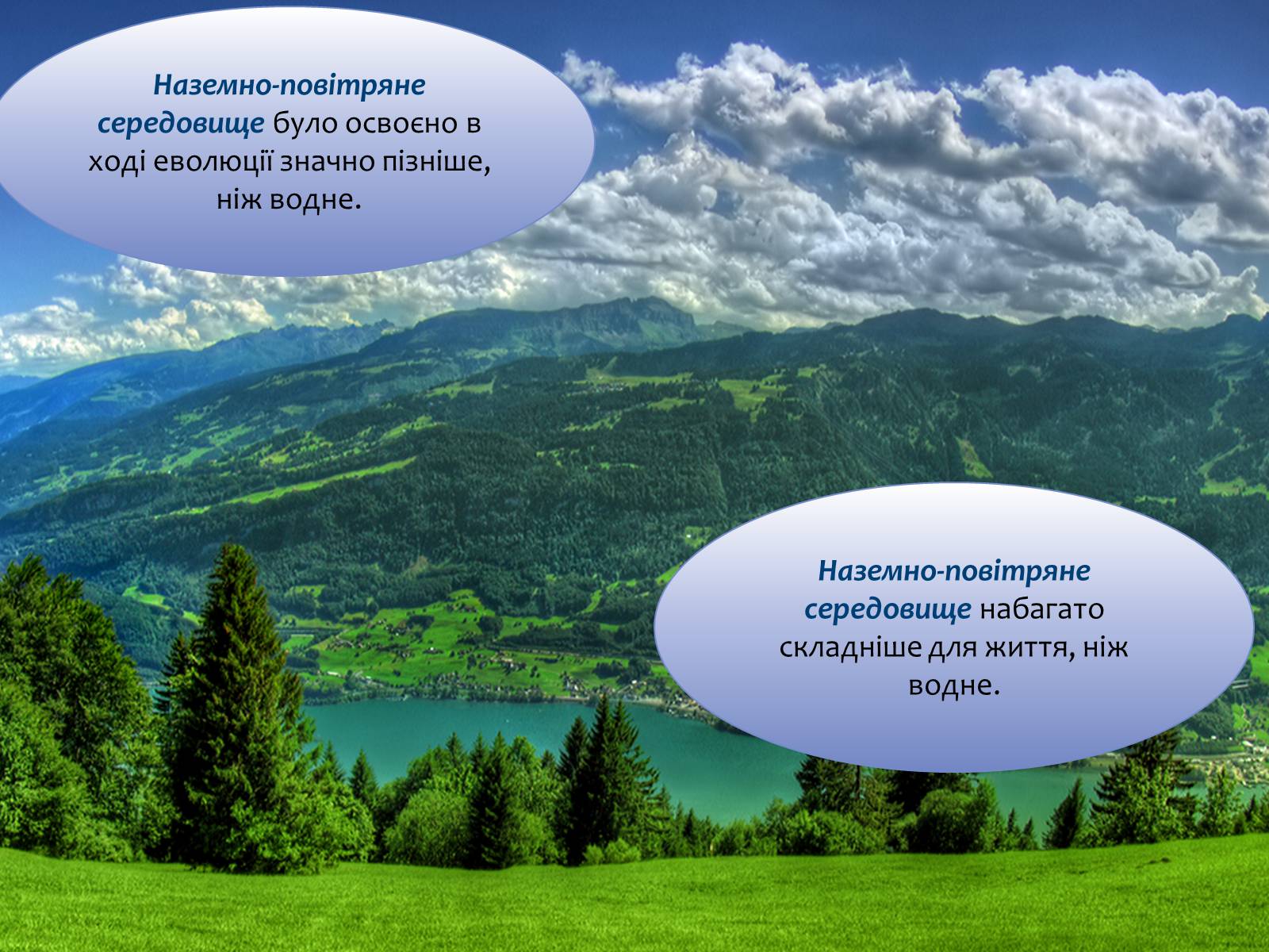 Презентація на тему «Наземно-повітряне середовище існування» (варіант 4) - Слайд #5