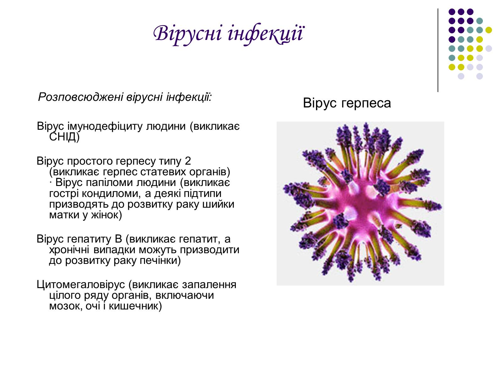 Презентація на тему «ВІЛ. СНІД. інфекції ІПСШ: шляхи передачі і методи захисту» (варіант 5) - Слайд #14