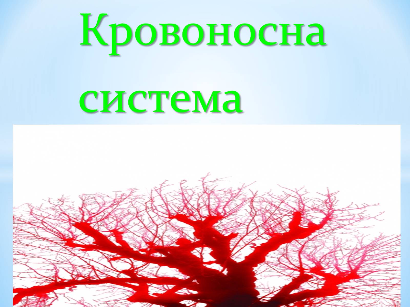 Презентація на тему «Кровоносна система» (варіант 1) - Слайд #1