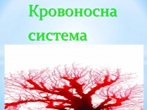 Презентація на тему «Кровоносна система» (варіант 1)