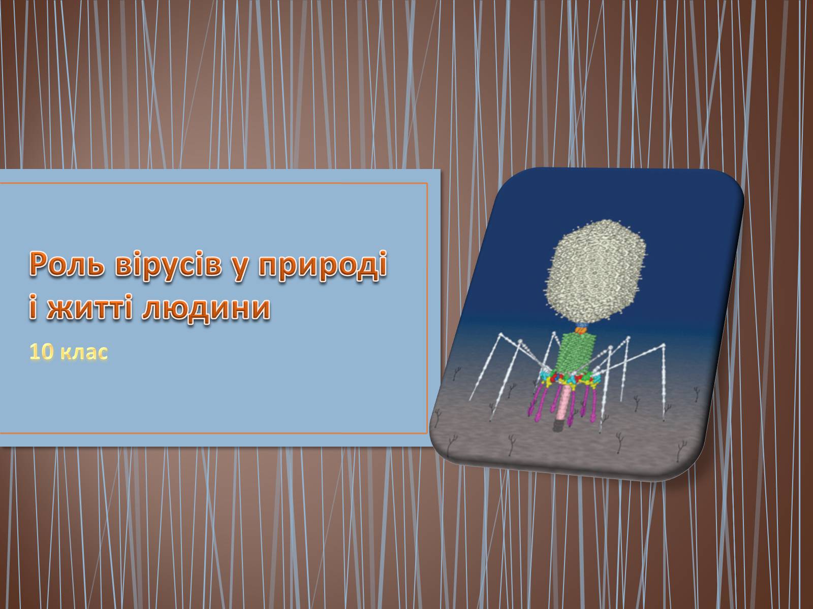 Презентація на тему «Роль вірусів у природі і житті людини» (варіант 1) - Слайд #1