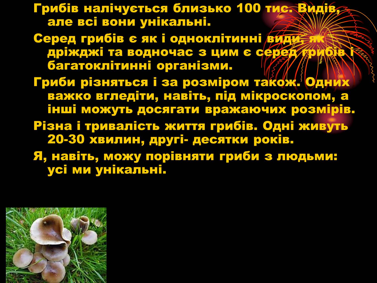 Презентація на тему «Царство Гриби» - Слайд #3