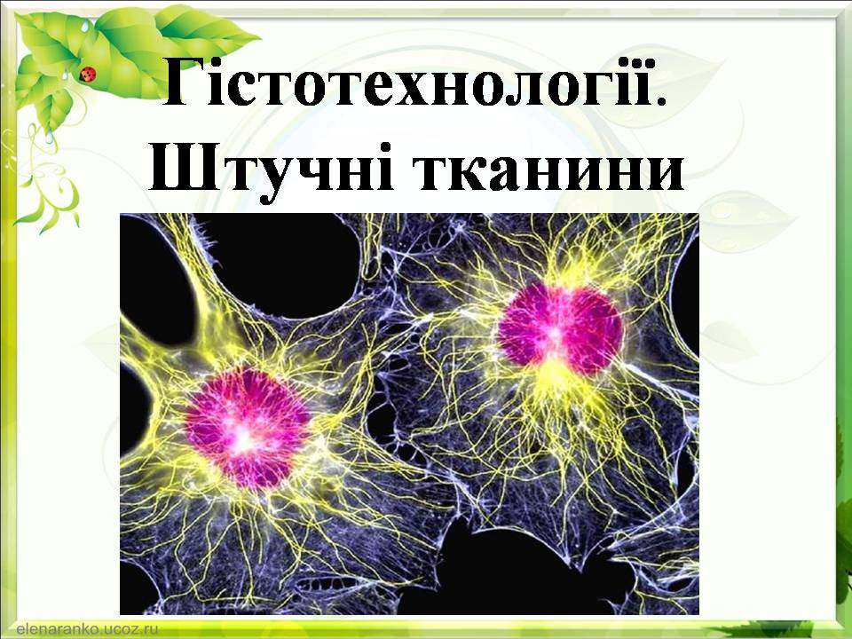 Презентація на тему «Гістотехнології.Штучні тканини» - Слайд #1