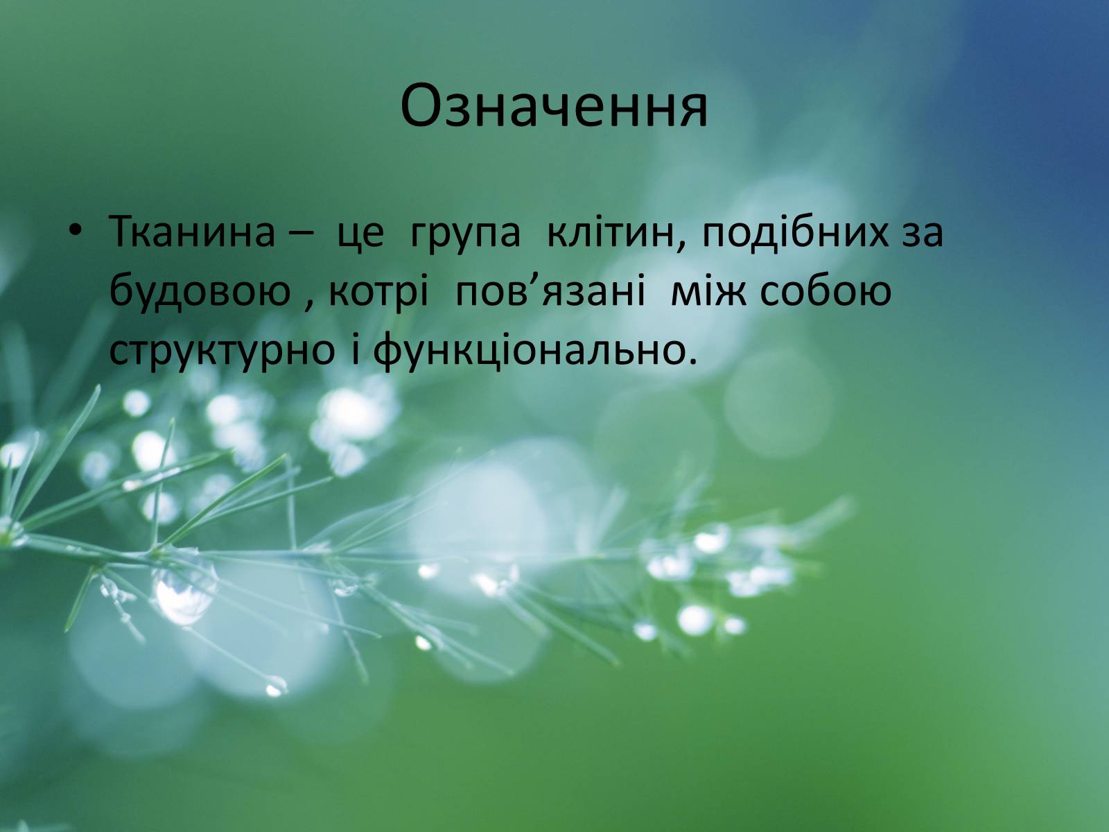 Презентація на тему «Тканини рослин» - Слайд #2
