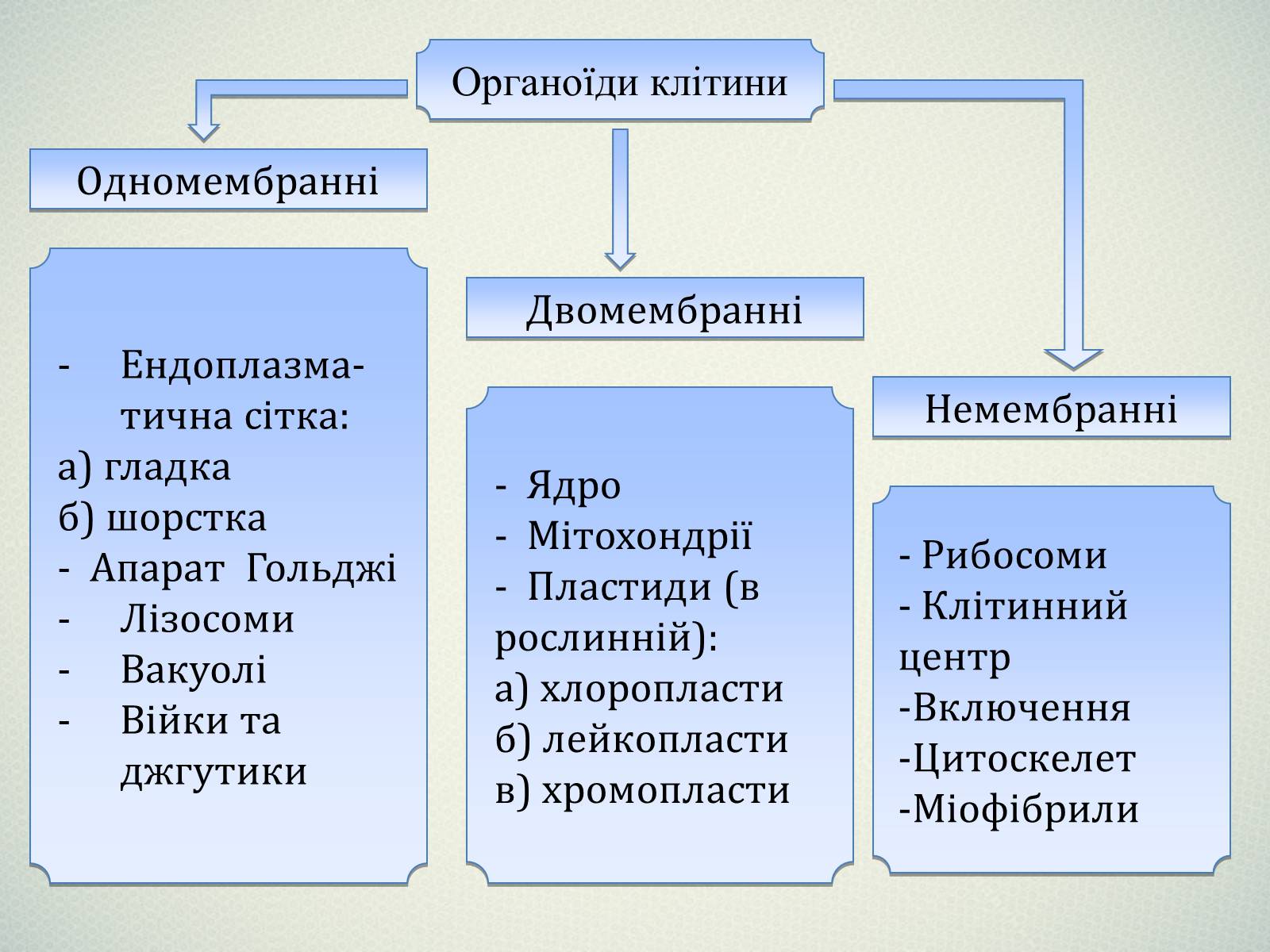 Презентація на тему «Клітинна будова тварини. Особливості тваринної клітини» - Слайд #4