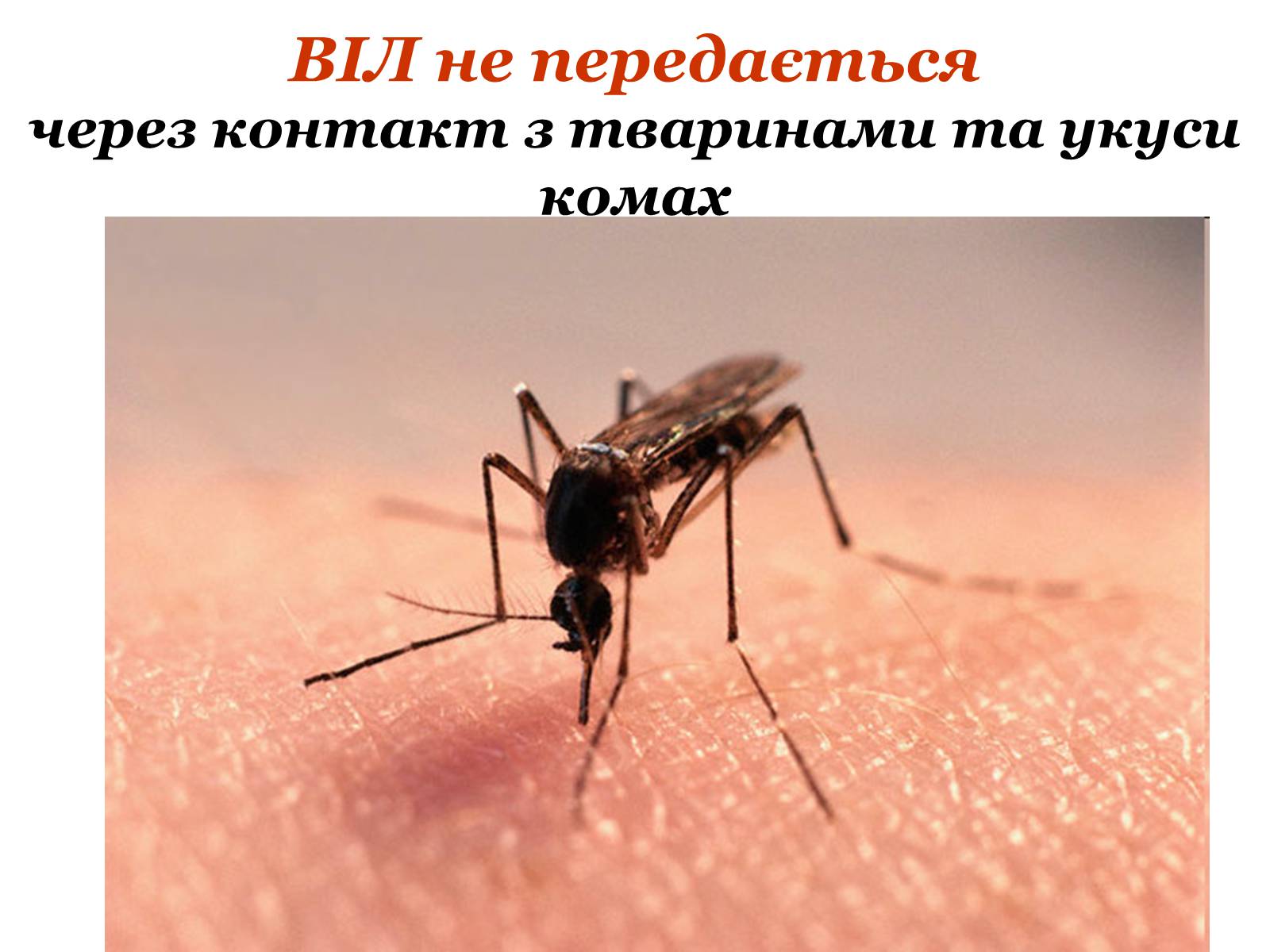 Презентація на тему «ВІЛ. СНІД. інфекції ІПСШ: шляхи передачі і методи захисту» (варіант 9) - Слайд #17