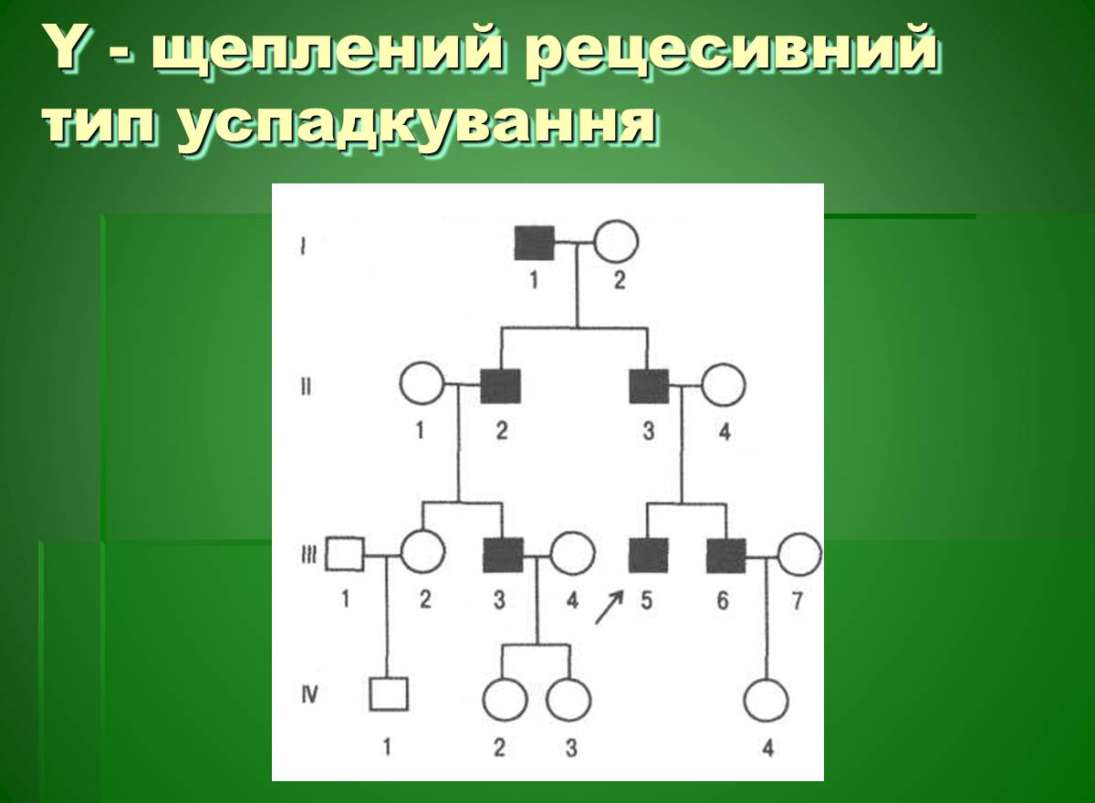 Презентація на тему «Основи медичної генетики» - Слайд #9