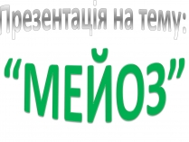 Презентація на тему «Мейоз» (варіант 2)