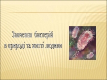 Презентація на тему «Значення бактерій в природі та житті людини»