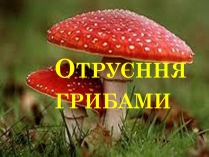 Презентація на тему «Отруєння грибами»