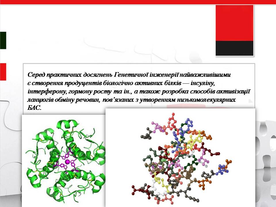 Презентація на тему «Генна інженерія» (варіант 11) - Слайд #13