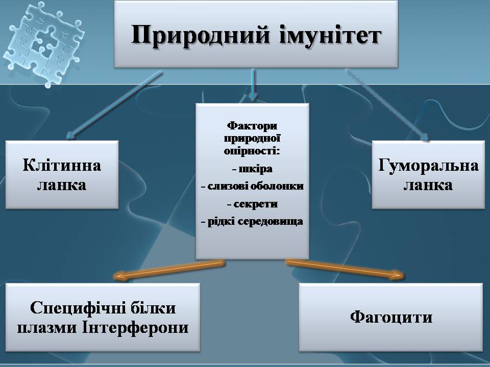 Презентація на тему «Імунітет» (варіант 4) - Слайд #13